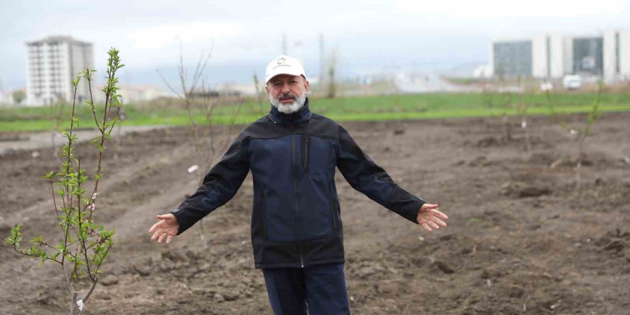 Başkan Çolakbayrakdar’dan Kayseri’de yine ilk olan Meyve Bahçeli Park Projesi
