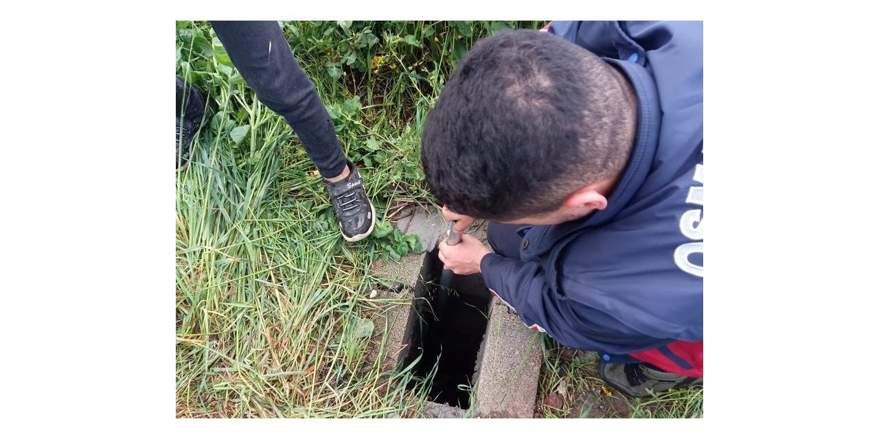 Osmaniye’de kuyuya düşen 4 yavru köpeği, itfaiye ekipleri kurtardı