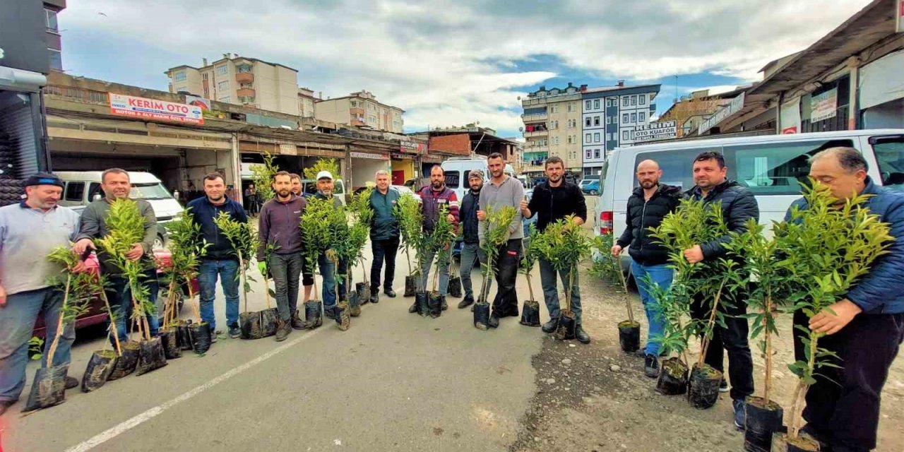 Altınordu’da 2 yılda 341 bin fidan toprakla buluşturuldu