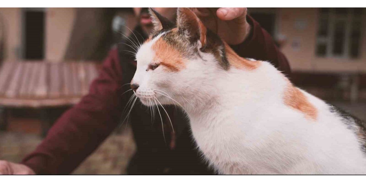 Gürsu’nun yaramaz ’Karahıdır’ı
