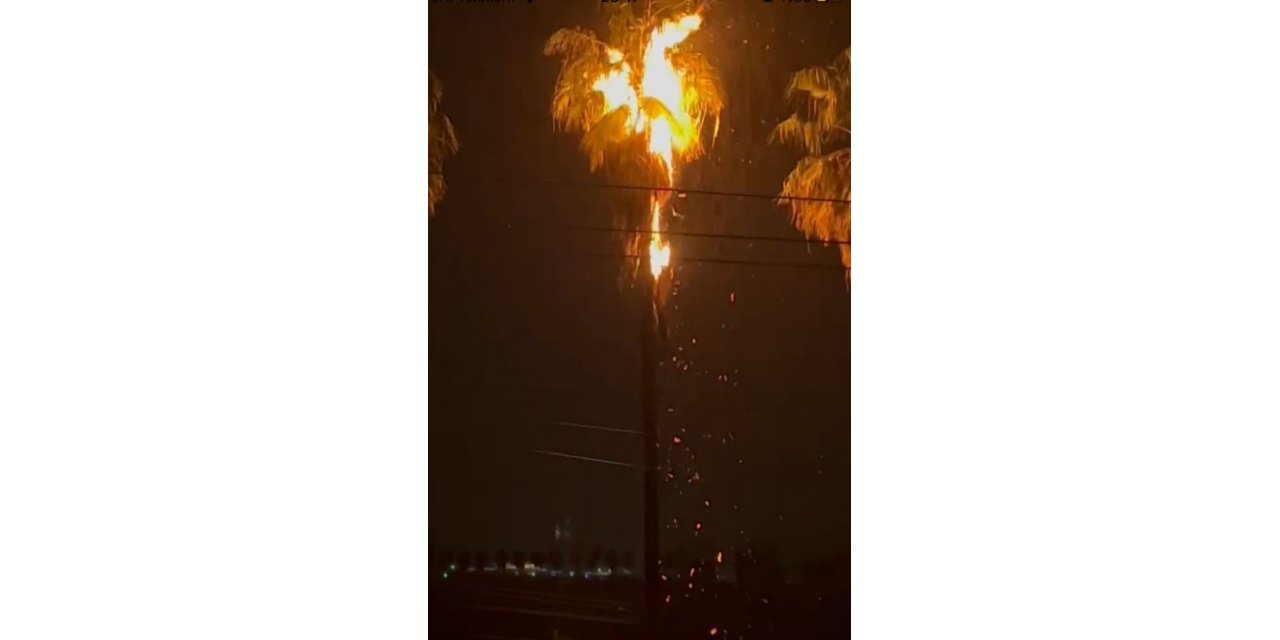 Hatay’da yıldırım isabet eden ağaç yandı