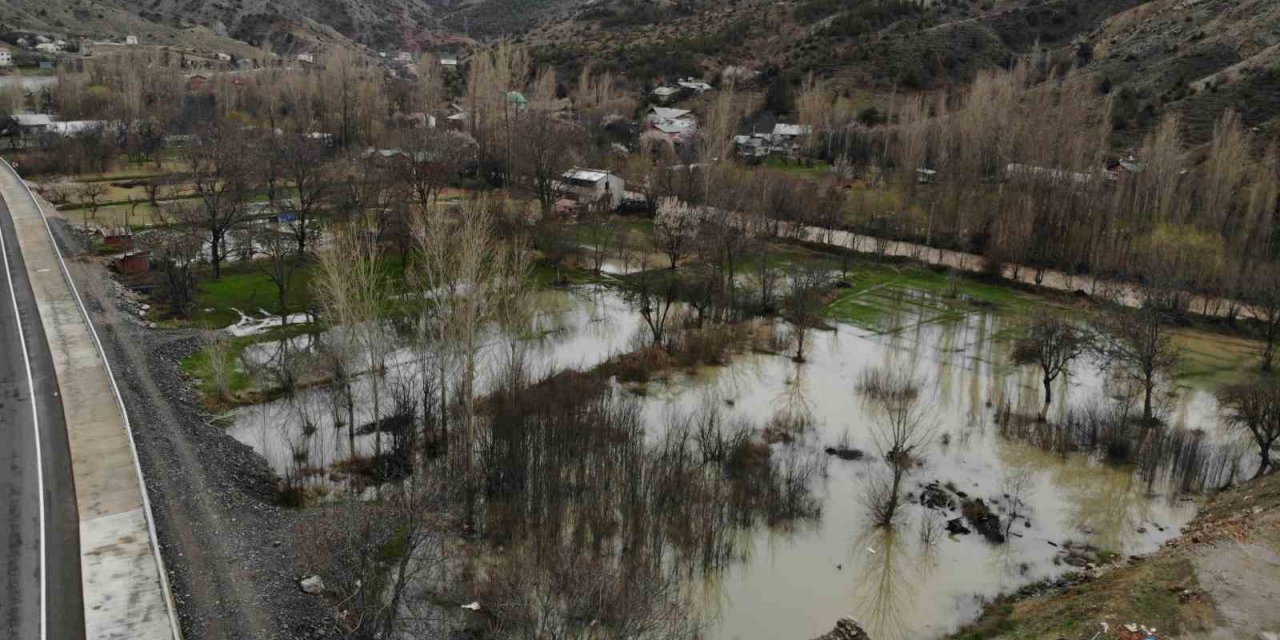 Gümüşhane’de şiddetli yağışların ardından taşan Harşit Çayı nedeniyle bahçeler gölete döndü