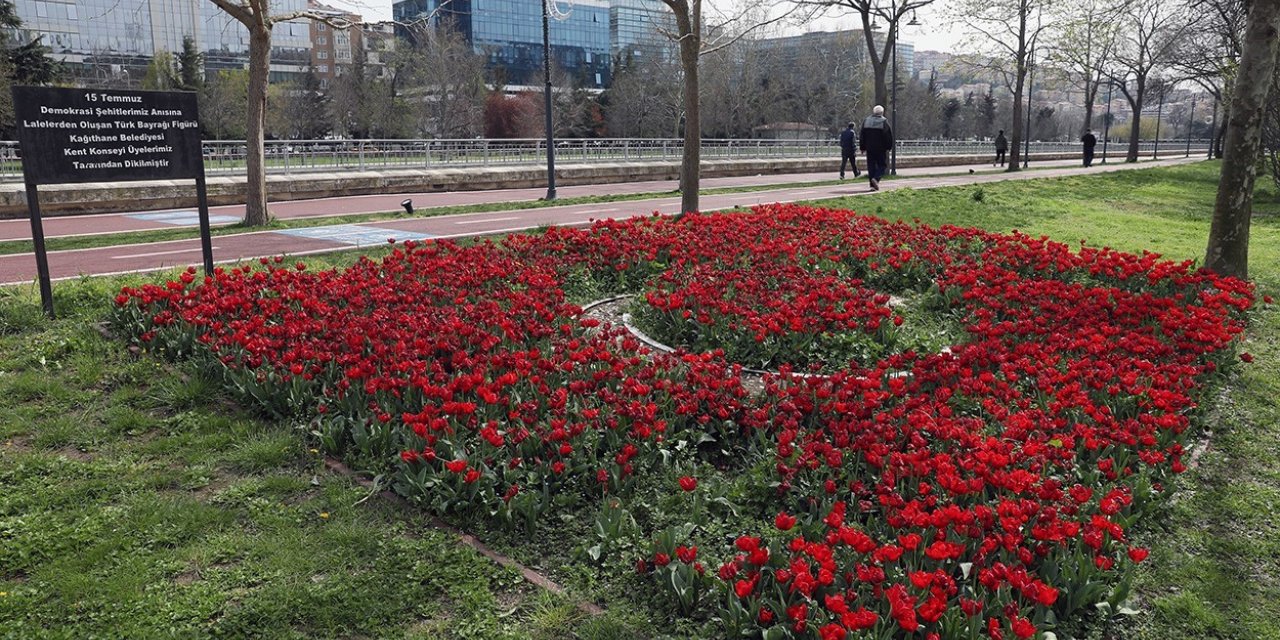 Kağıthane’de lale mevsimi başladı