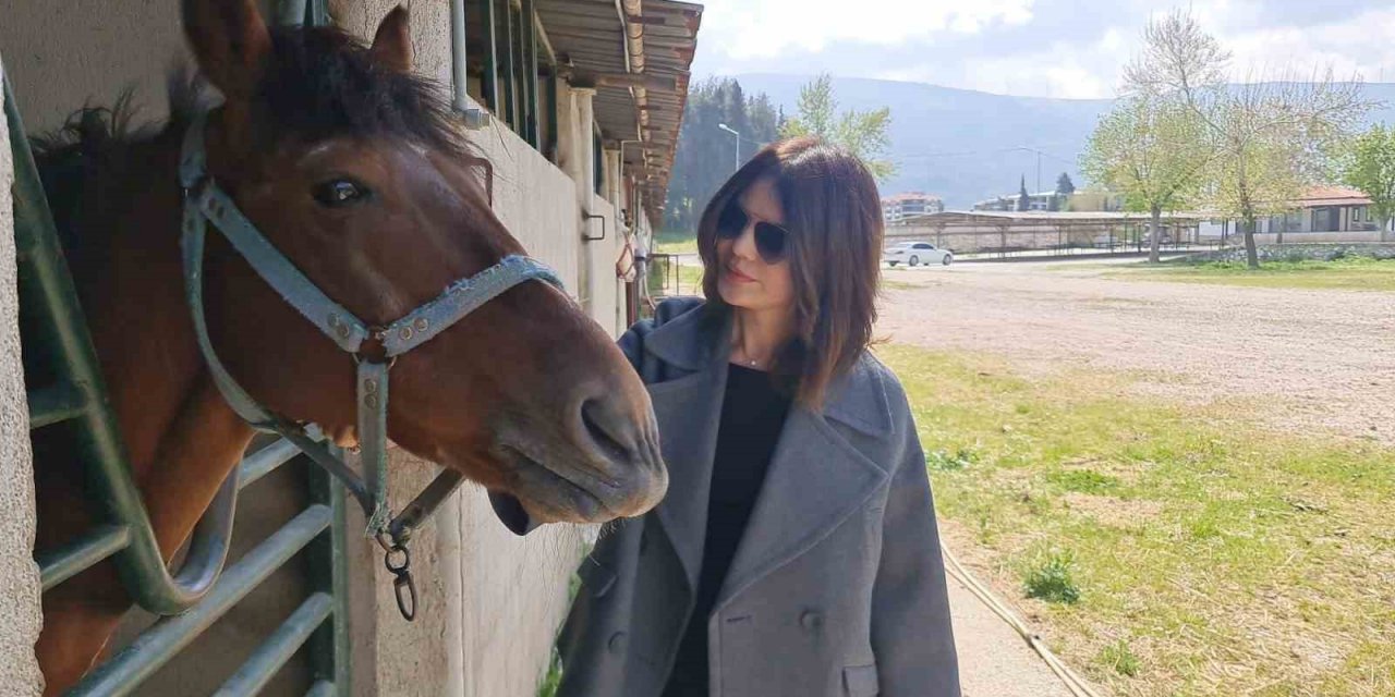 Tire Belediyesinin satışa çıkardığı atlar emin ellerde