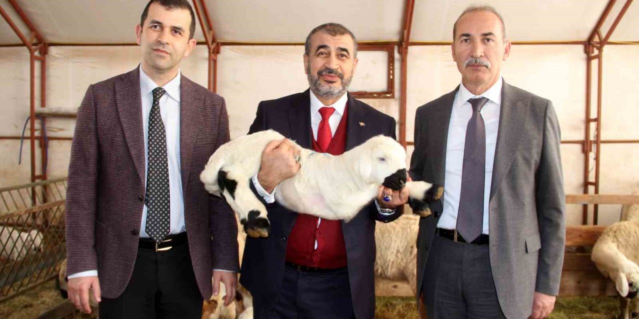 Bilimsel çalışmalar için kurulmuştu, elde edilen gelir burs olarak verilecek