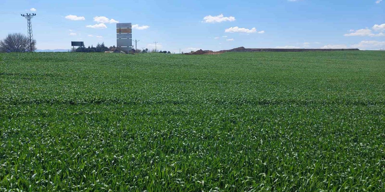 Kırmızı alarmlı kuraklık sonrası nisan yağışları umut oldu