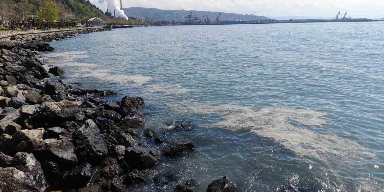 Vatandaş kirliliği müsilaja benzetti