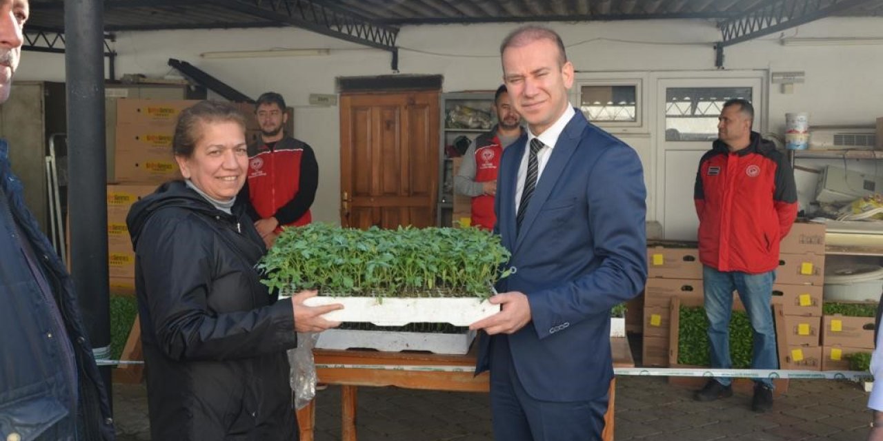 Köyceğiz’de Ata tohumu fidesi dağıtıldı