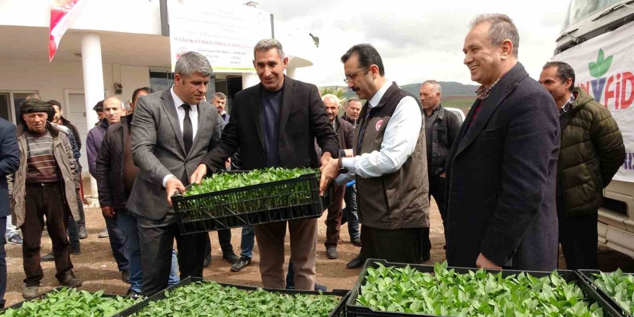Devlet çiftçiye destek verdi, bağ bahçe sebze fidesiyle dolacak