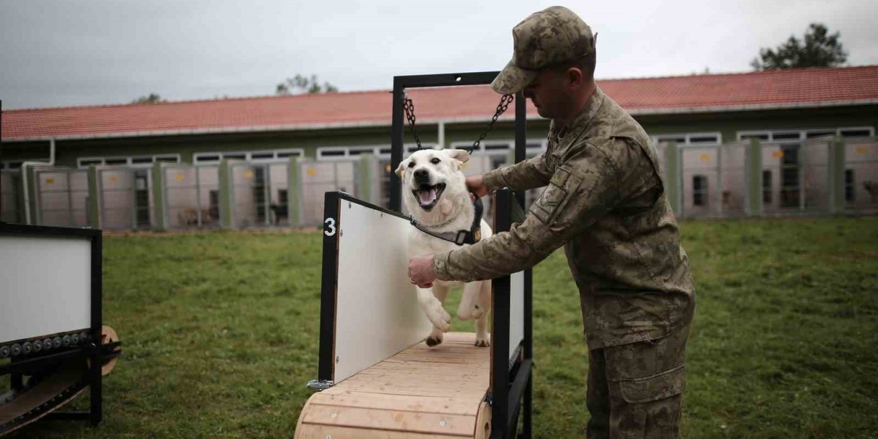 Depremin kahramanları...Böyle yetiştiriliyorlar