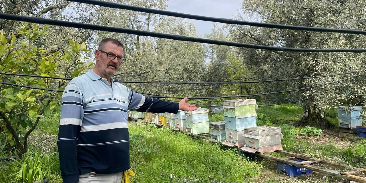 Parmak yalatan hırsızlık