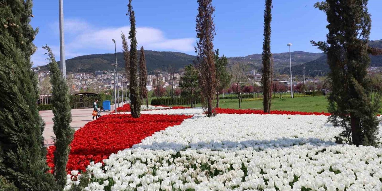 Baharın tüm renkleri Bursa’yı sardı