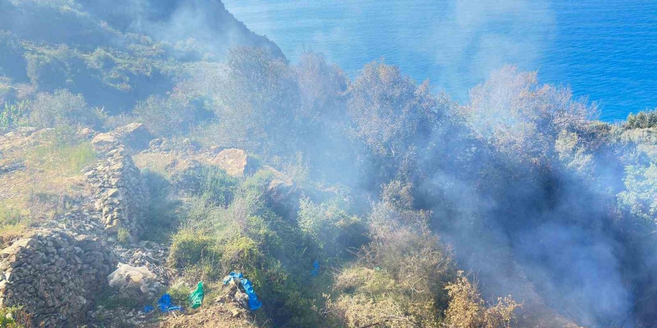 Yerleşim yerlerine yakın noktada çıkan yangın büyümeden söndürüldü