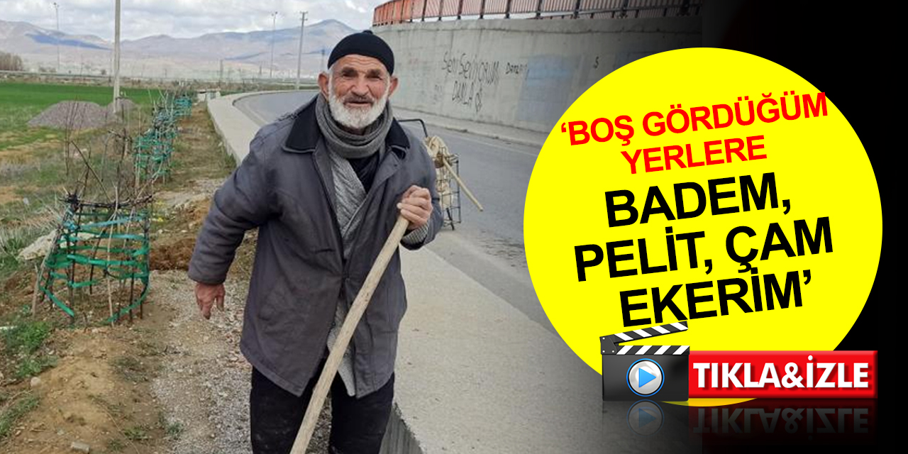 Konya'nın ağaç sever dedesi diktiği fidanların bakımını aksatmıyor! Sigara izmaritine karşı araç desteği bekliyor