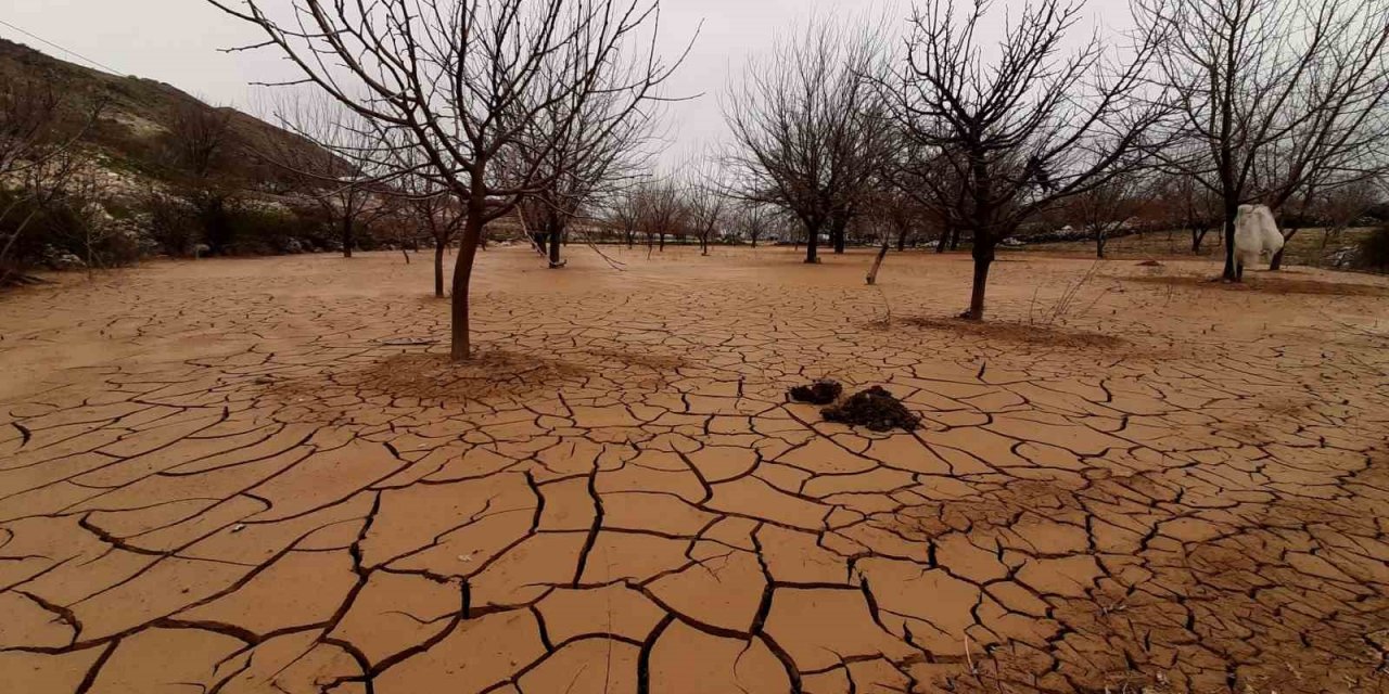 Tut’da meyve bahçeleri çamur ve taşlarla kaplandı