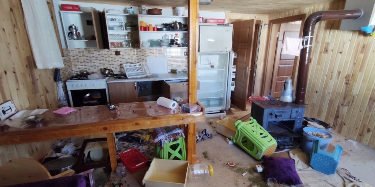 Dev ayı 4 aydır yaylada girilmedik ev bırakmadı