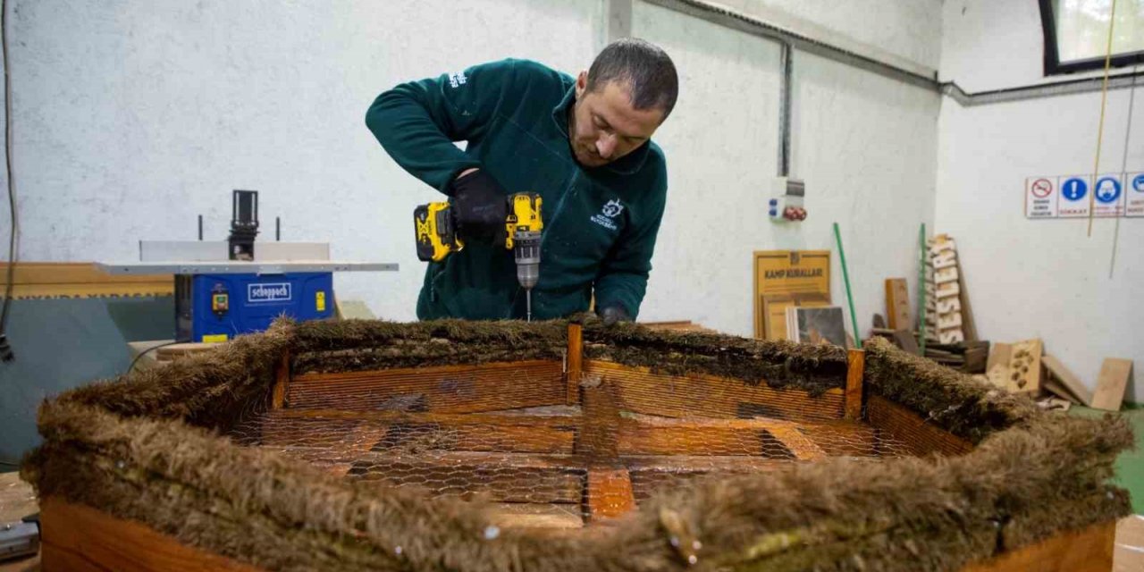 Ormanya’da engelli leylekler için özel proje