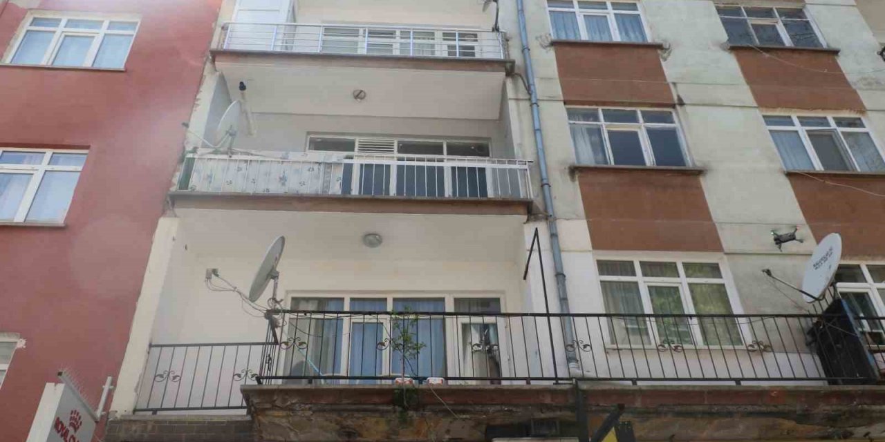Balkon betonundan çıkan ağaç görenleri hayrete düşürüyor
