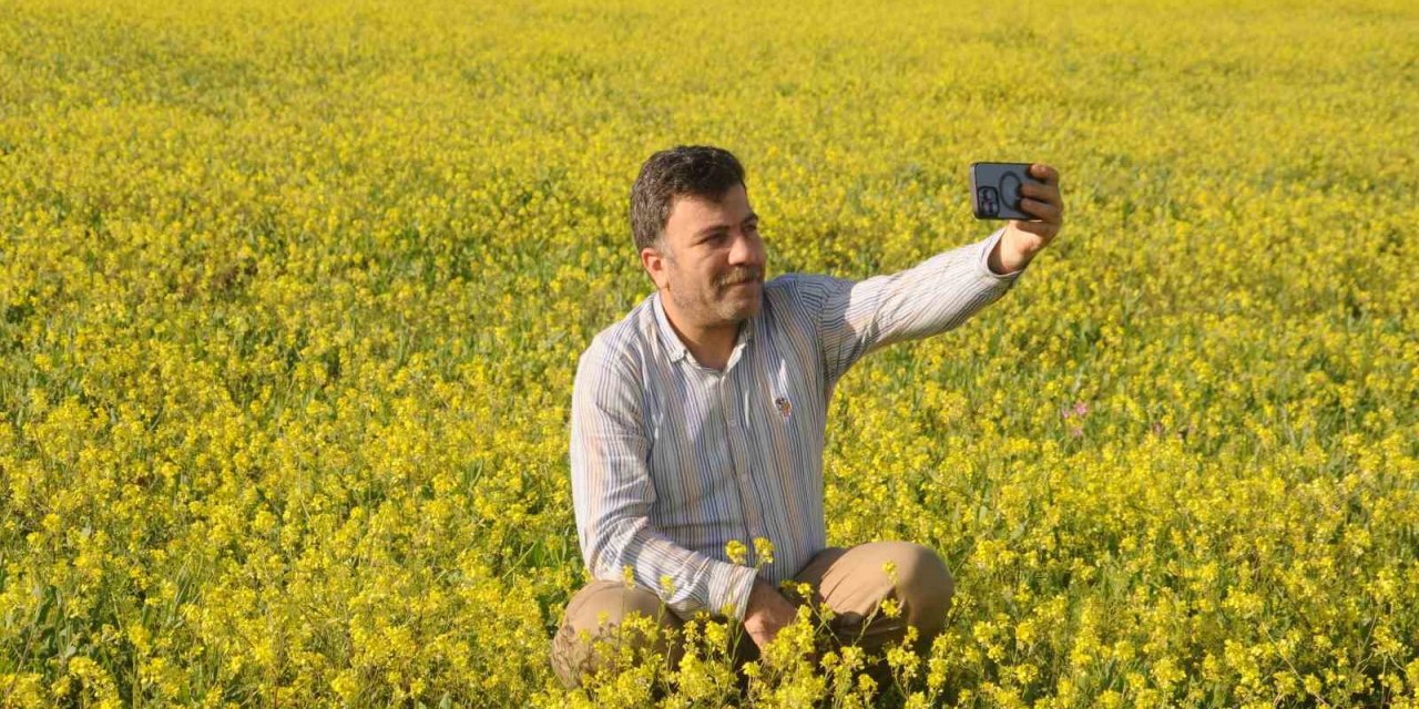Cizre’de geç gelen ilkbaharla doğa renk cümbüşüne döndü