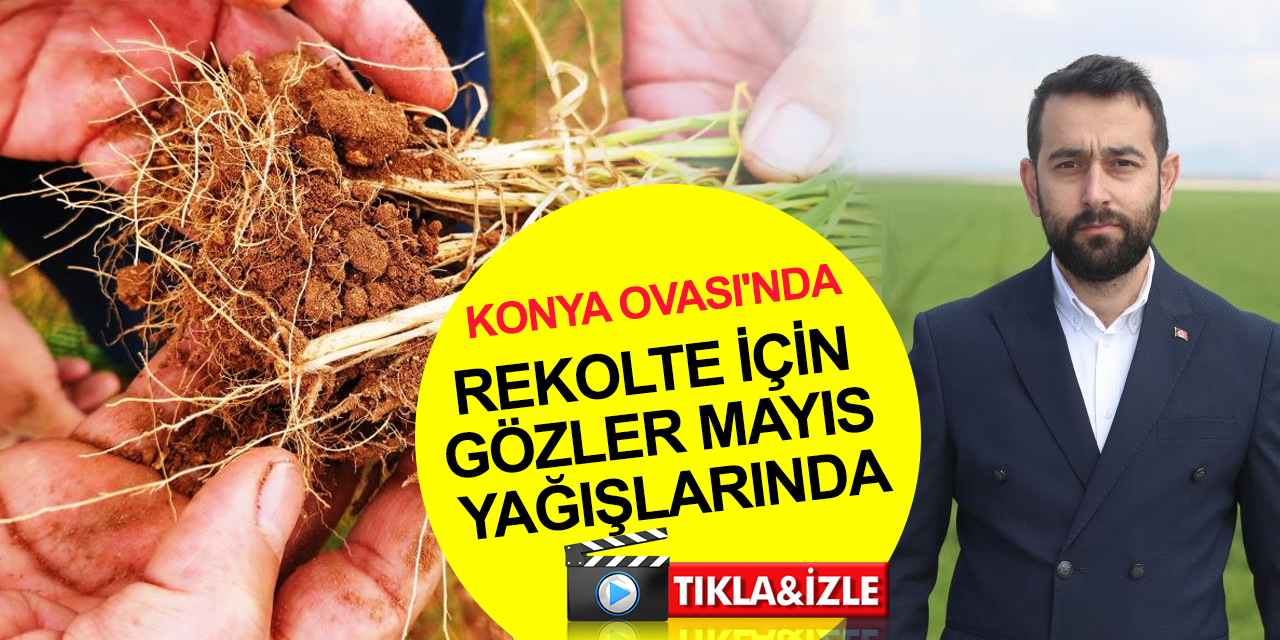 Konya Ovası’nda rekolte için gözler Mayıs yağışlarında