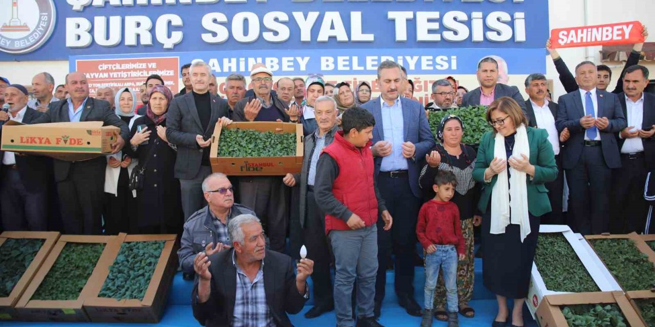 Gaziantep’te çiftçiye 11 milyon 500 bin adet fide dağıtıldı