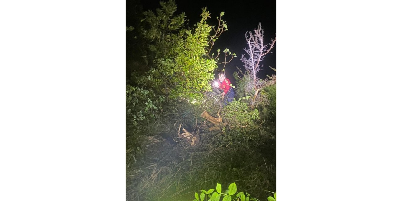 Kontrolden çıkan araç 60 metreden denize uçtu: 1 yaralı