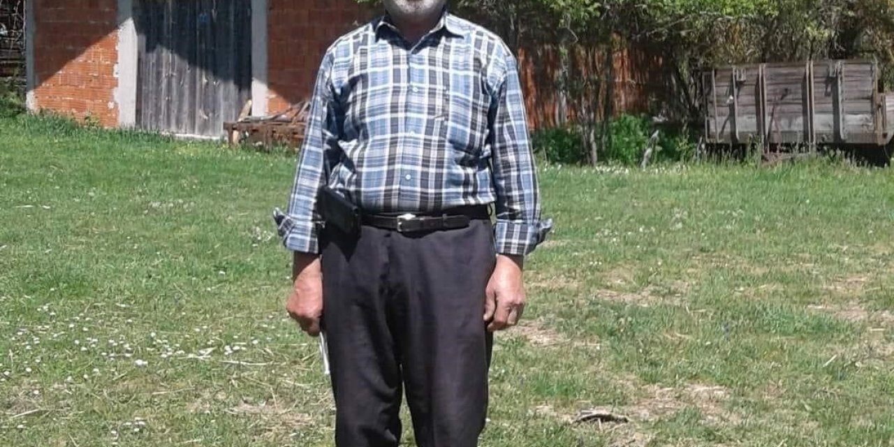 Otattığı hayvan için çıktığı yolda minibüsün çarptığı vatandaş hayatını kaybetti