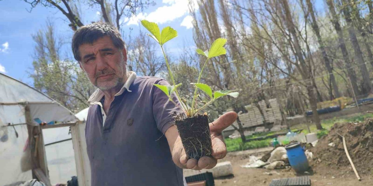 Bahçesinde 300 bin doğal fide üretip Türkiye’nin her yerine gönderiyor