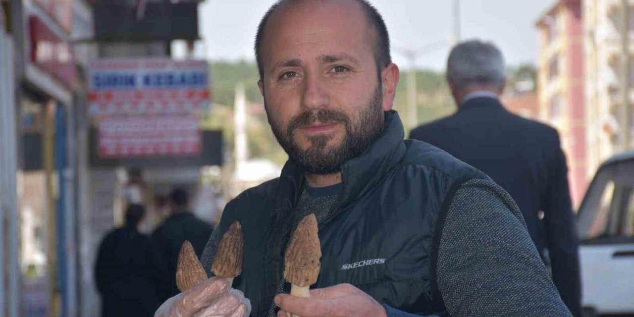 Ağaçların altından toplanıyor, kilosu 250 liradan satılıyor