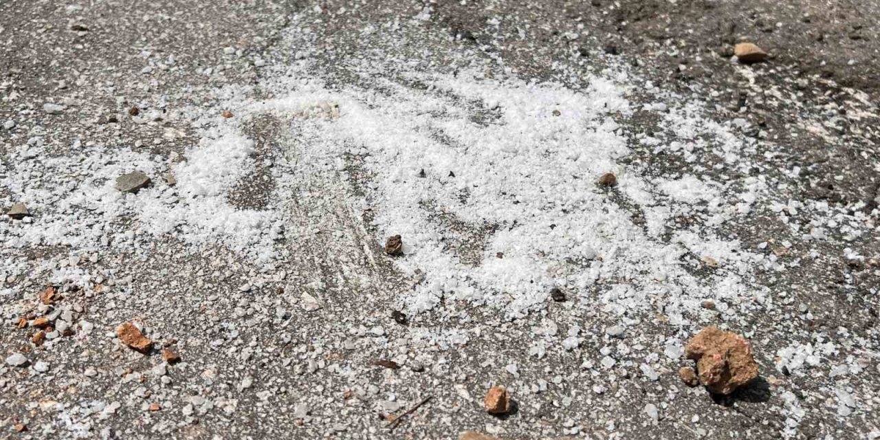Yaban keçileri için “Tuz dökmeyin” uyarısı
