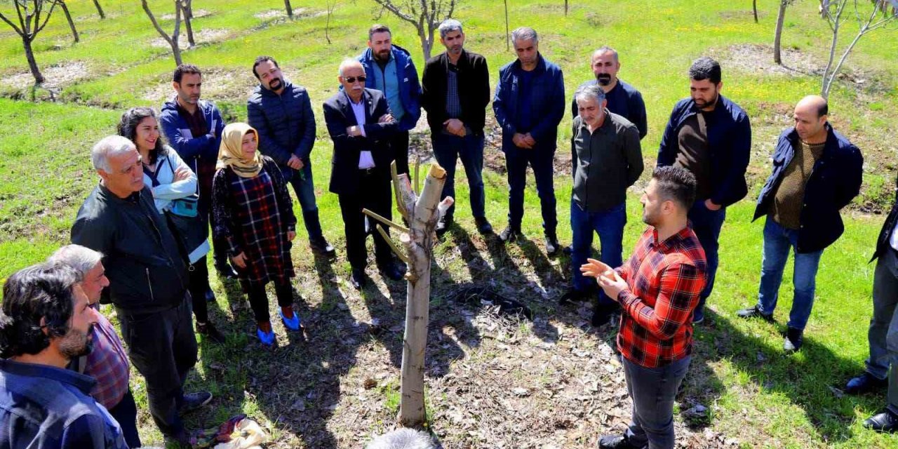 Bingöl’de ağaç budama ve aşılama eğitimi başladı