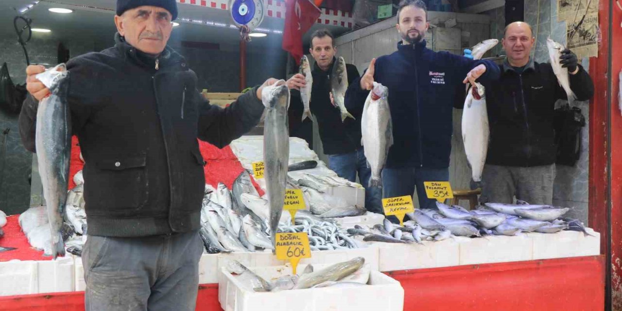 Mevsim balıklarının yerini kültür balıkları aldı