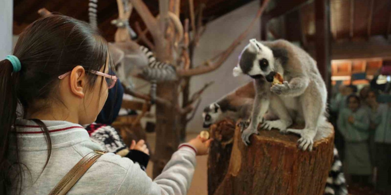 Bursa’da bayram neşesi, Hayvanat Bahçesi’nde yaşanacak