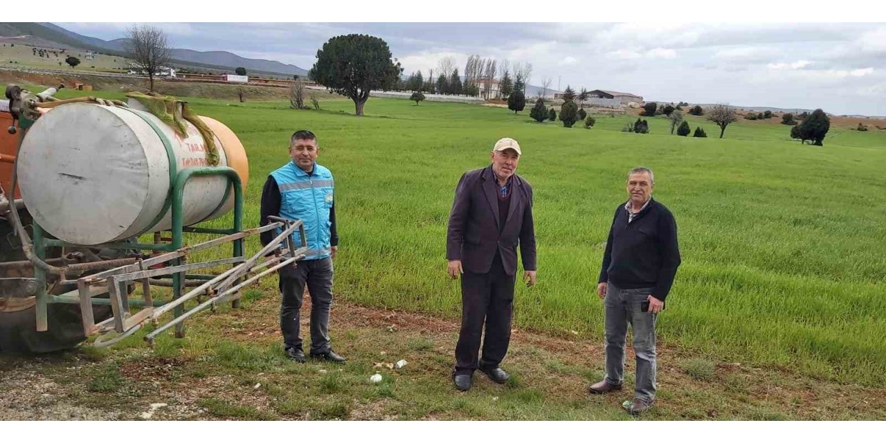 Kütahya’da Zabrus zararlısı ile zirai mücadele çalışmaları