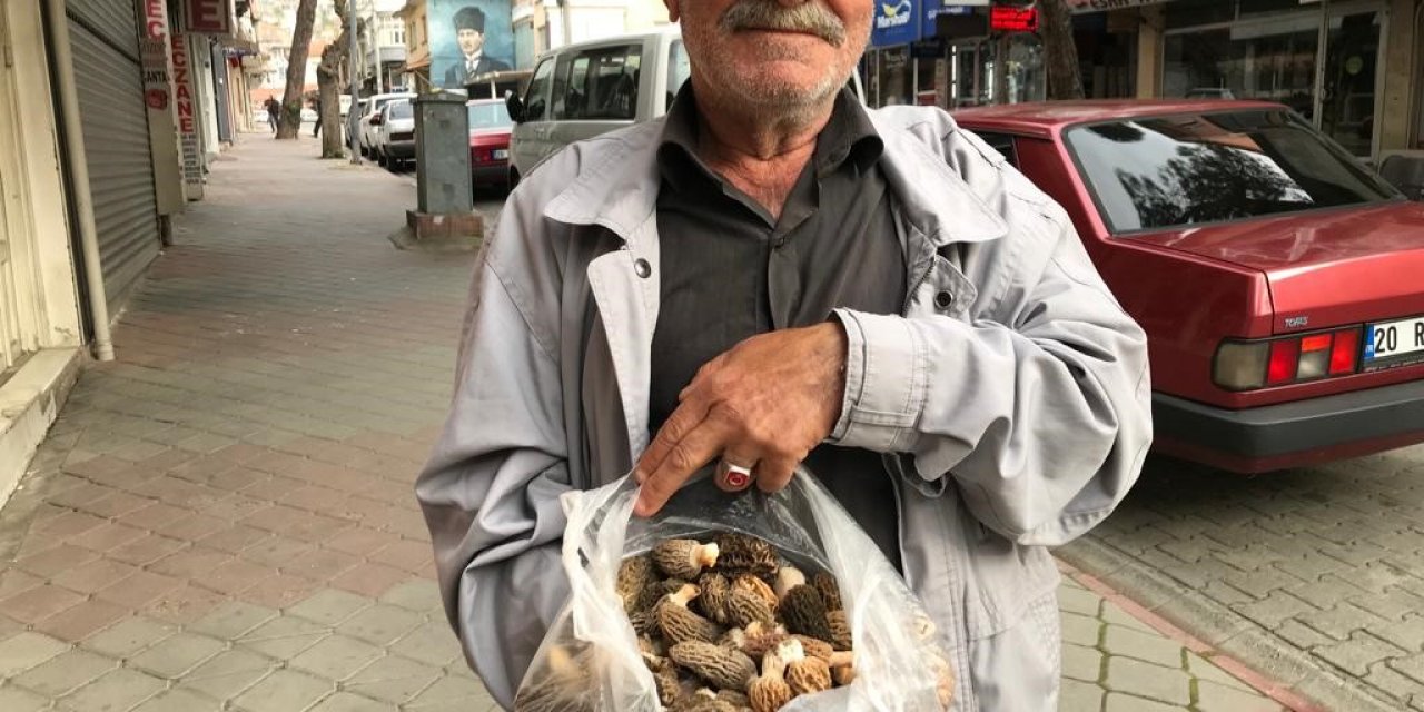 Yağışla birlikte çoğalan kuzugöbekleri yüz güldürüyor