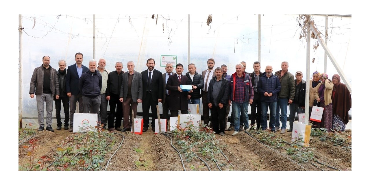 Yalova’da kesme gül zararlısına karşı mavi yapışkan tuzak dağıtıldı