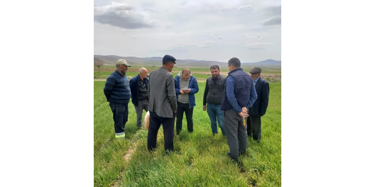 Ekinlerde görülen hastalıklara karşı bilgilendirme toplantısı yapıldı