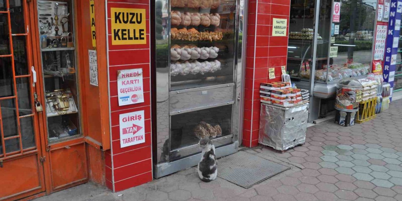 Yiyemediği etleri hayranlıkla izledi