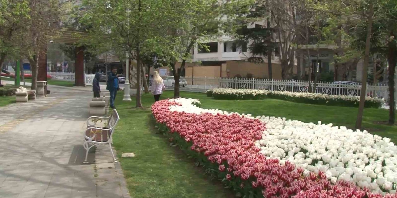 İstanbul’da lale şöleni: 70 çeşit lale, 2 milyon soğan dikildi