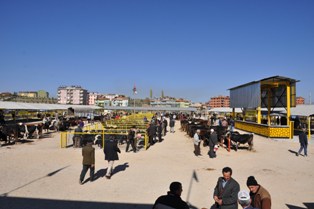 Seydişehir'de modern kurban pazarı hizmette