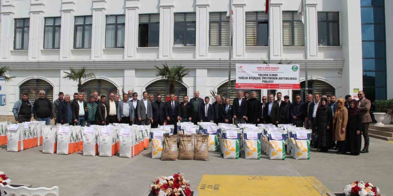 Yalova’da çiftçilere ayçiçeği tohumu dağıtıldı