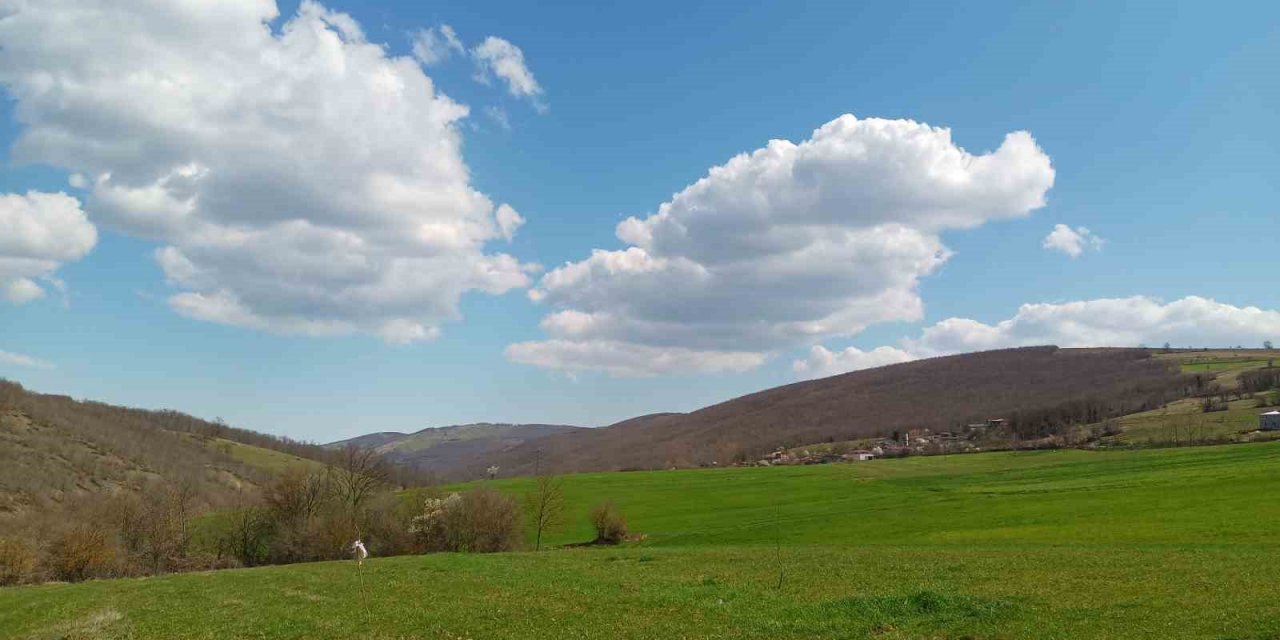 ’Sakin, huzurlu bir hayat ve evlilik kalp hastalıklarından koruyor’