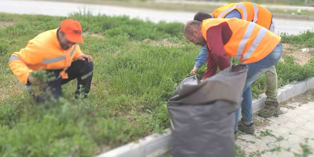 Karayolları çevresinde yabani ot temizliği