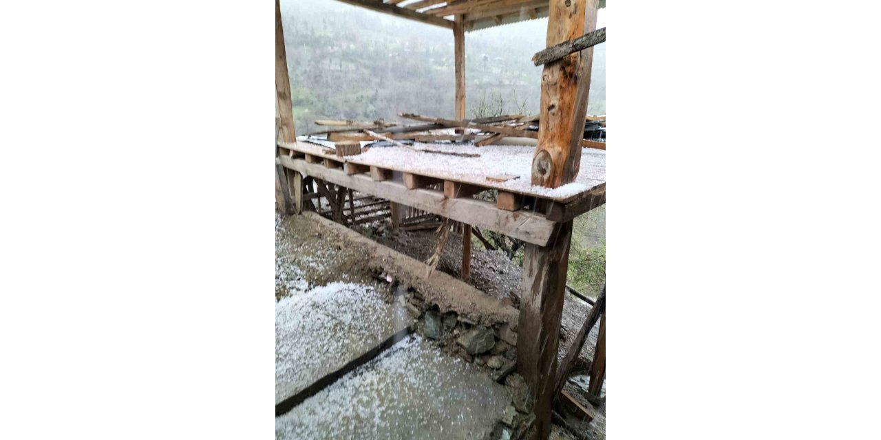 Adana’nın Kuzey ilçelerinde şiddetli sağanak ve dolu yağışı etkili oldu