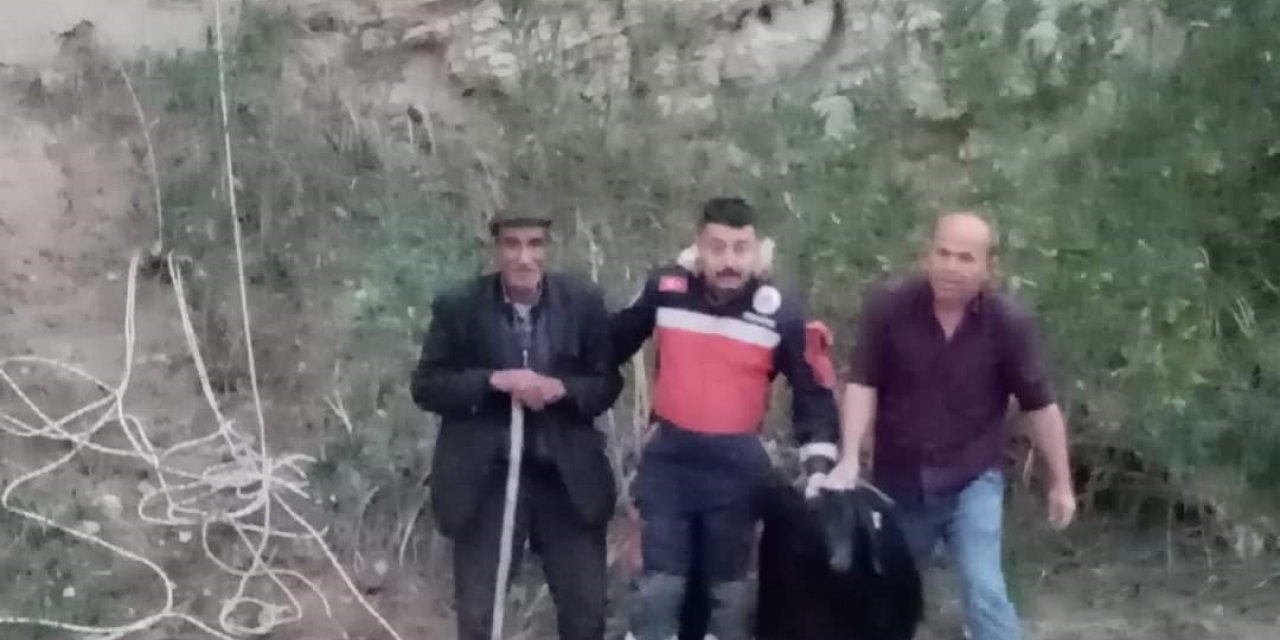 Keçinin mahsur kaldığı yer pes dedirtti