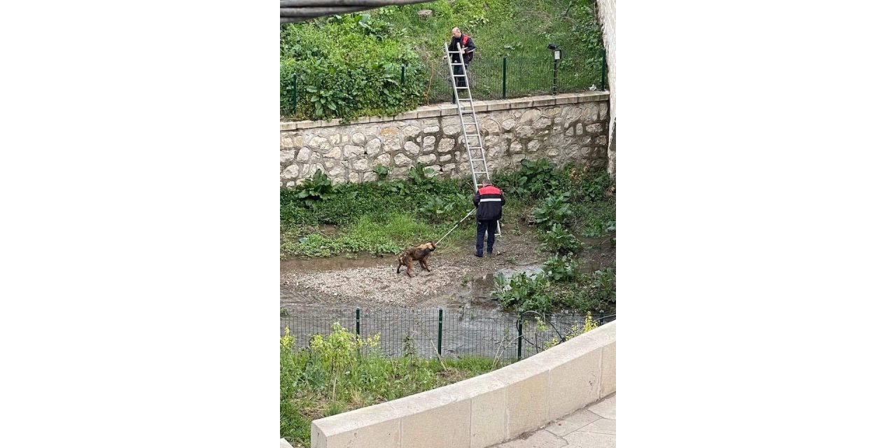 Kavak’ta yürek ısıtan operasyon