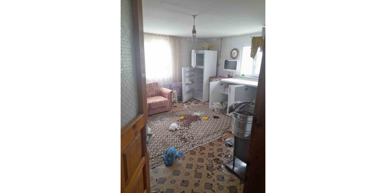 Gümüşhane’de ayılar yayla evlerine dadandı