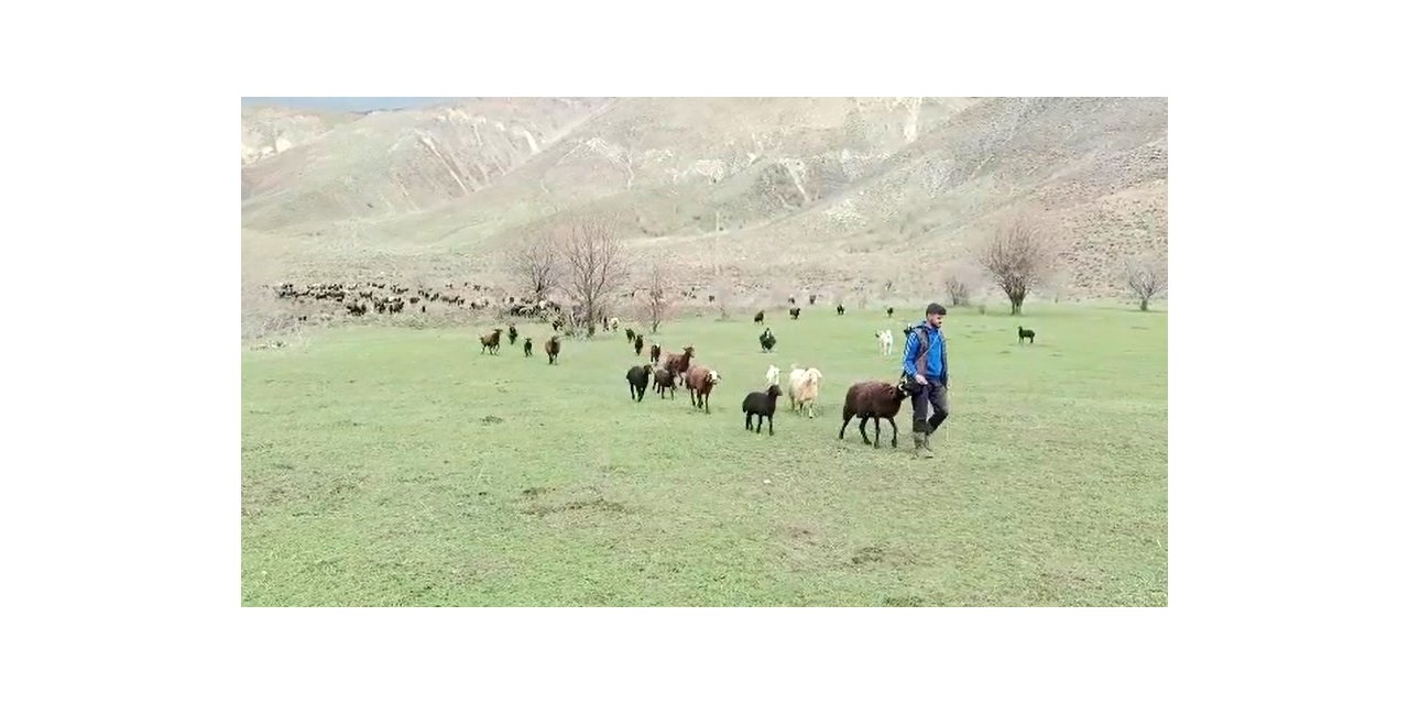 Besicilerin bayramda da mesaisi sürüyor