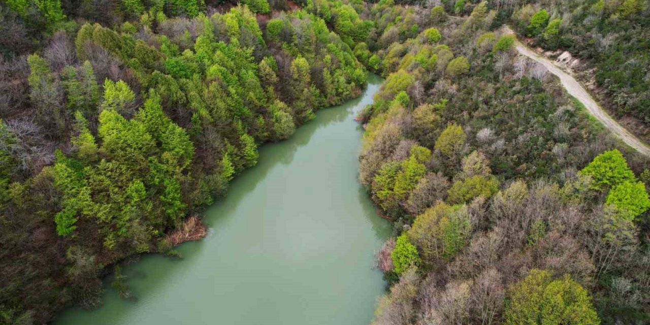 Ortaburun Tabiat Parkı baharla birlikte rengarenk oldu