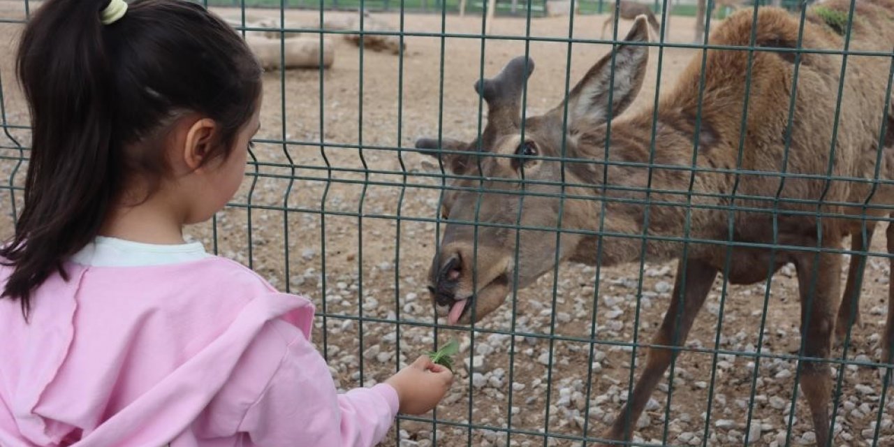 Vatandaşlar bayramda hayvanat bahçesine akın etti: 100 bin ziyaretçi